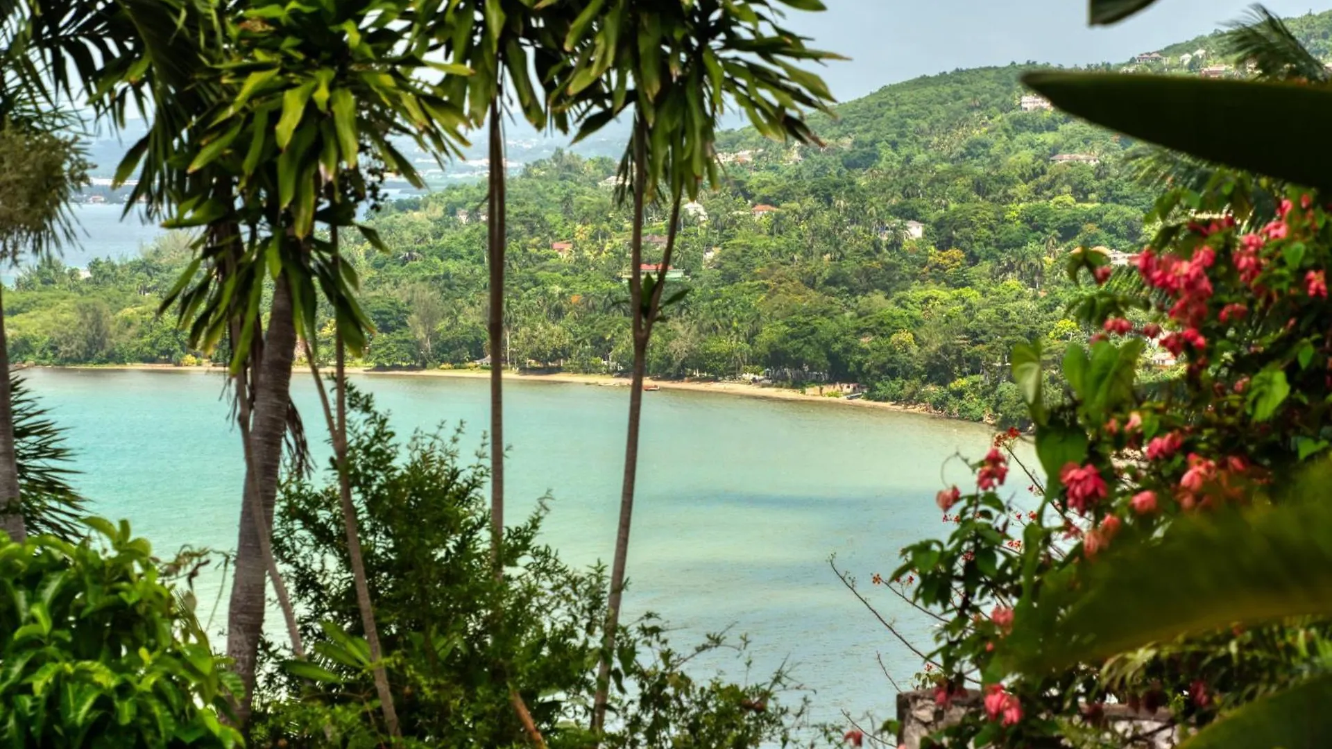 Bambu Villa Hopewell Jamajka